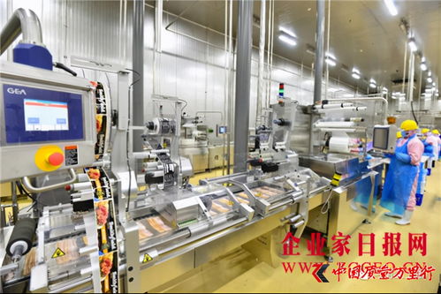 雙匯發展 完善產業布局，增強核心競爭力，攜手鄭州軟件推動產業升級